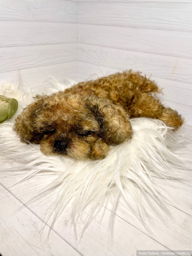 Kraš🐶🐾🐾🐾 — Реалистичные игрушки и звери (Натюр): собаки