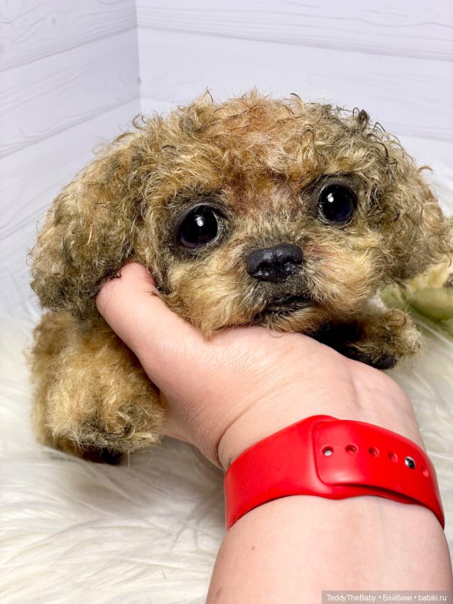 Kraš🐶🐾🐾🐾 — Реалистичные игрушки и звери (Натюр): собаки