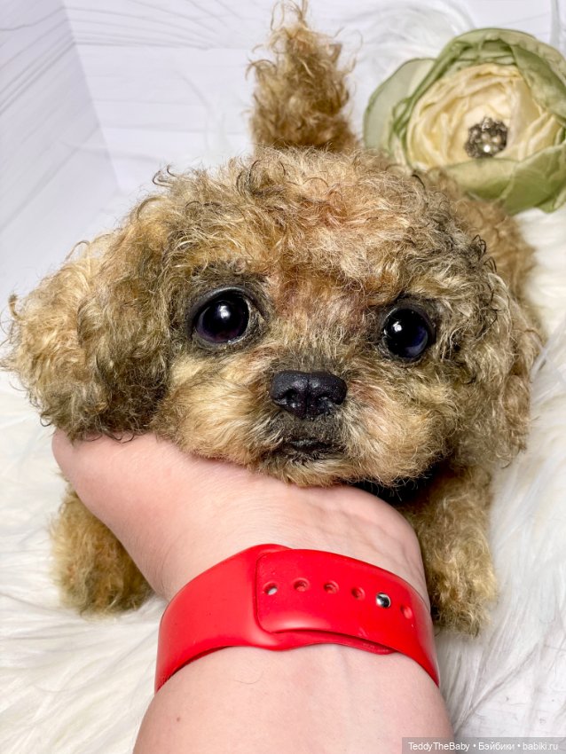 Kraš🐶🐾🐾🐾 — Реалистичные игрушки и звери (Натюр): собаки (фото 10)