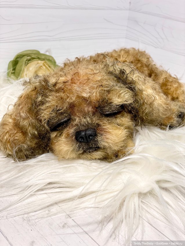 Kraš🐶🐾🐾🐾 — Реалистичные игрушки и звери (Натюр): собаки