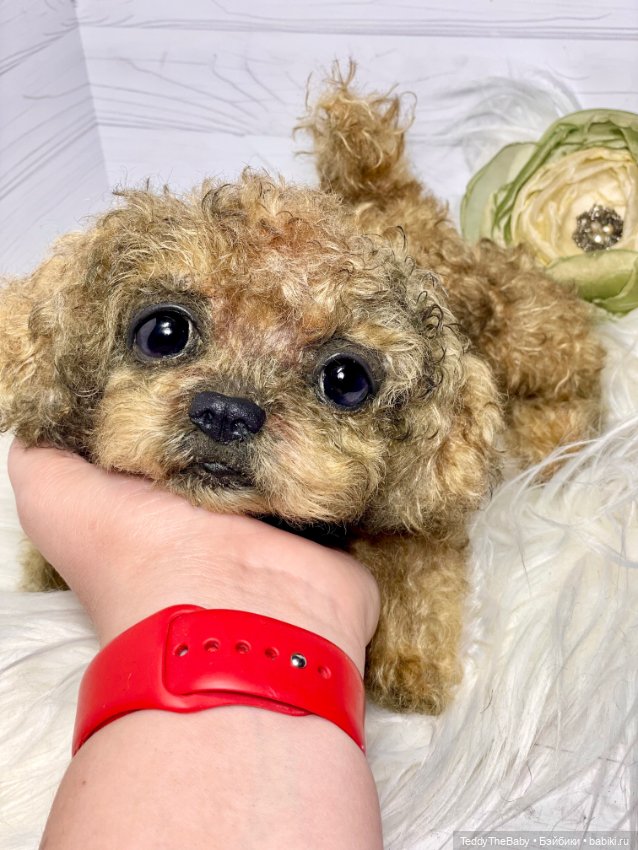 Kraš🐶🐾🐾🐾 — Реалистичные игрушки и звери (Натюр): собаки (фото 3)