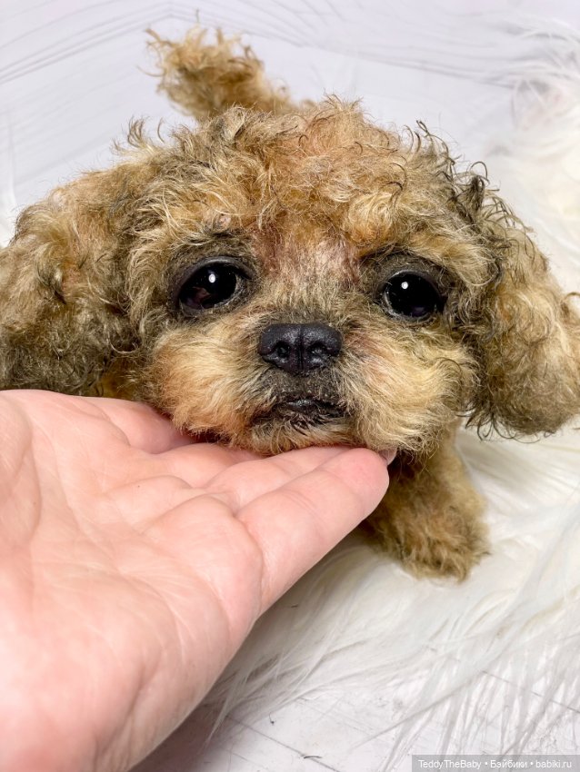 Kraš🐶🐾🐾🐾 — Реалистичные игрушки и звери (Натюр): собаки