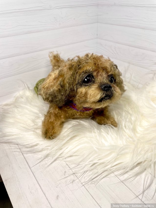 Kraš🐶🐾🐾🐾 — Реалистичные игрушки и звери (Натюр): собаки