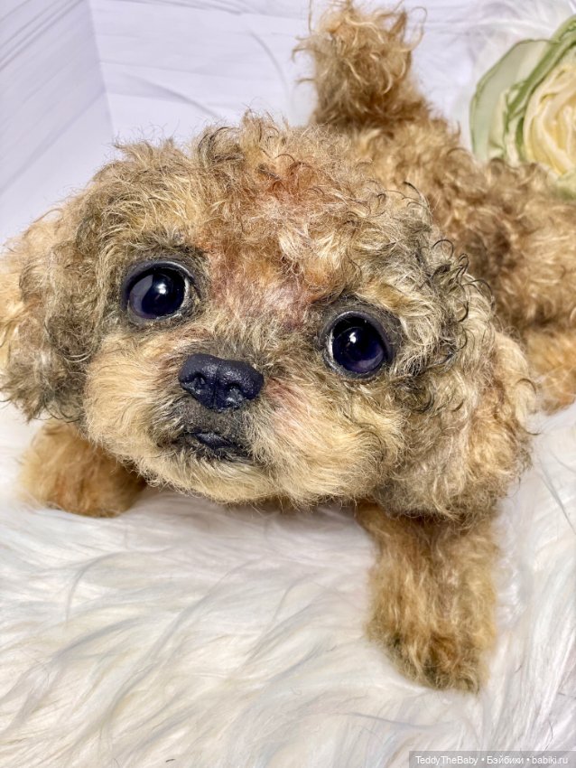 Kraš🐶🐾🐾🐾 — Реалистичные игрушки и звери (Натюр): собаки (фото 4)