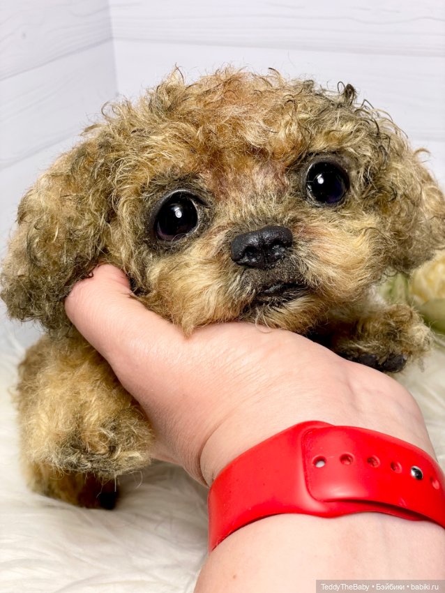 Kraš🐶🐾🐾🐾 — Реалистичные игрушки и звери (Натюр): собаки