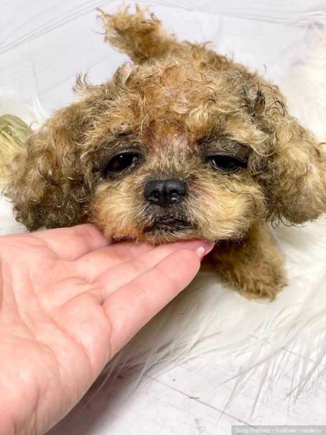 Kraš🐶🐾🐾🐾 — Реалистичные игрушки и звери (Натюр): собаки