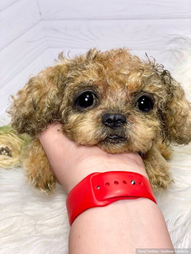 Kraš🐶🐾🐾🐾 — Реалистичные игрушки и звери (Натюр): собаки