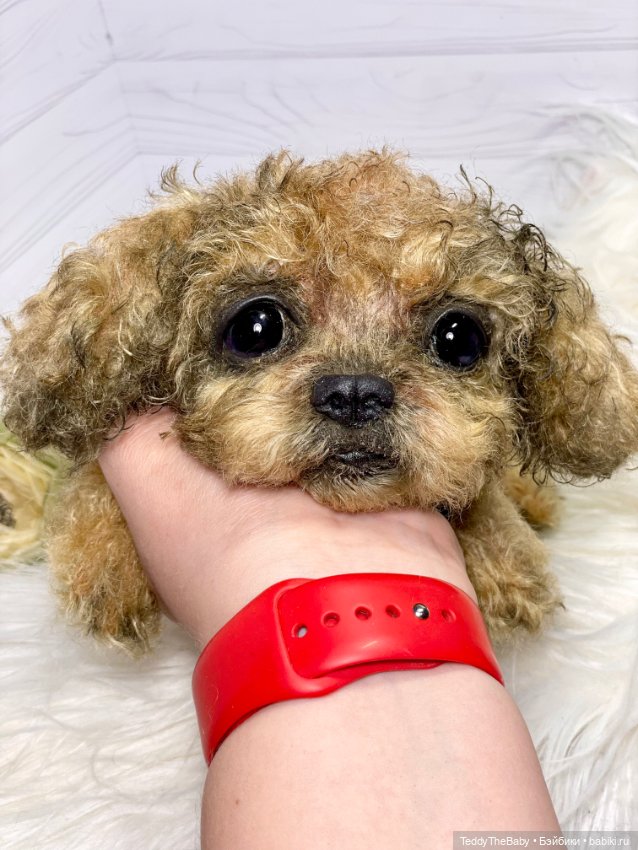 Kraš🐶🐾🐾🐾 — Реалистичные игрушки и звери (Натюр): собаки