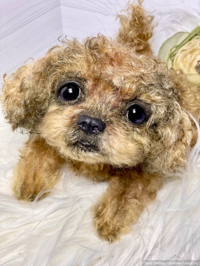 Kraš🐶🐾🐾🐾 — Реалистичные игрушки и звери (Натюр): собаки (фото 7)