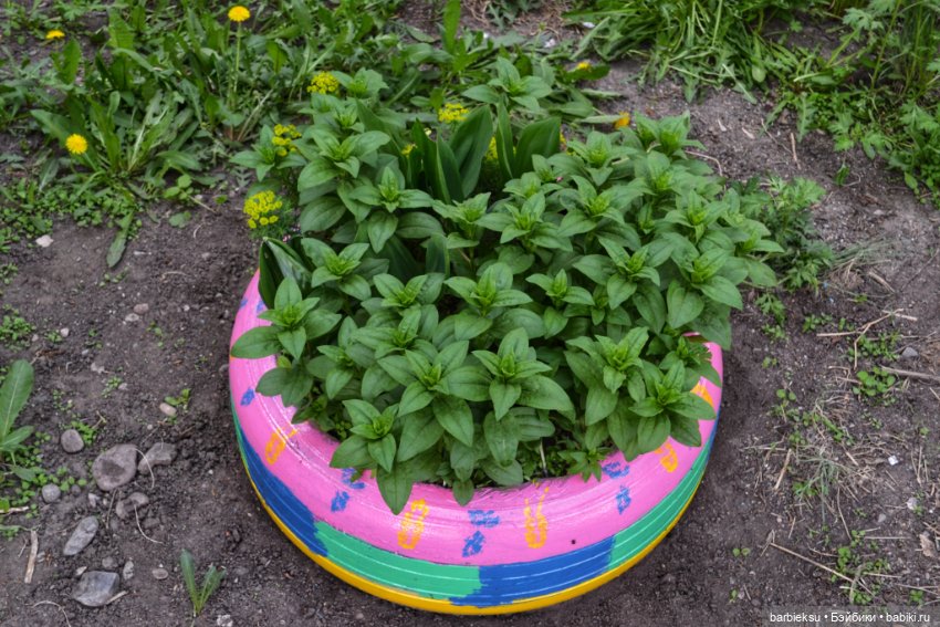 Ах, как прекрасна та Сирень!💮💮💮