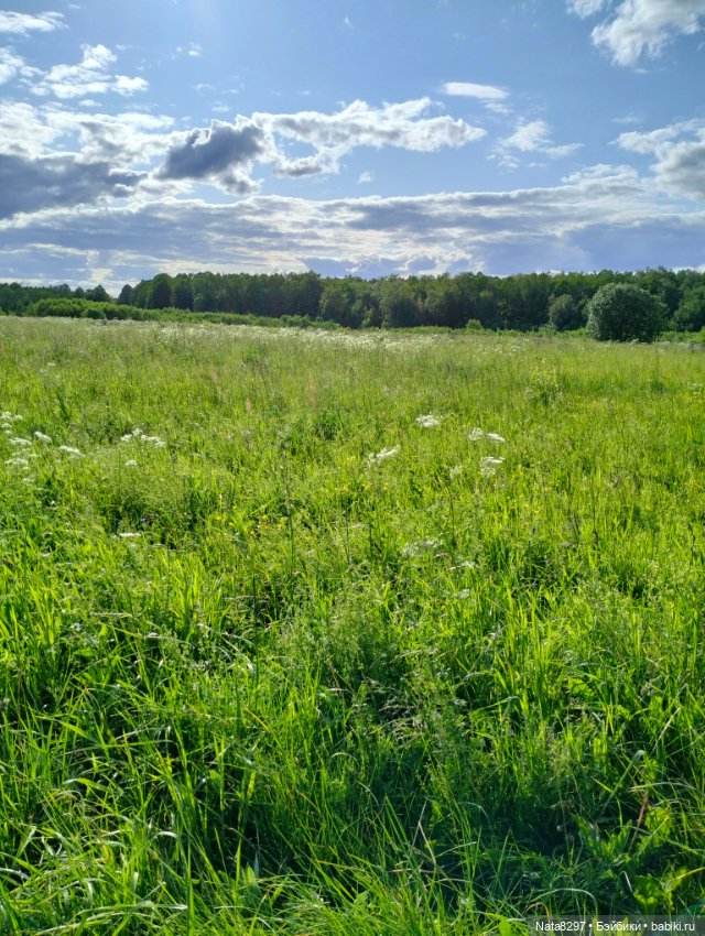 Прогулка с Беллой от Ruby Red в поле