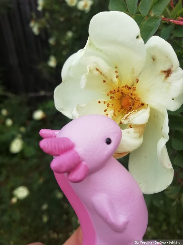 Кака в большом мире — Игровые куклы разных производителей (Разное): редкие бренды (фото 3)