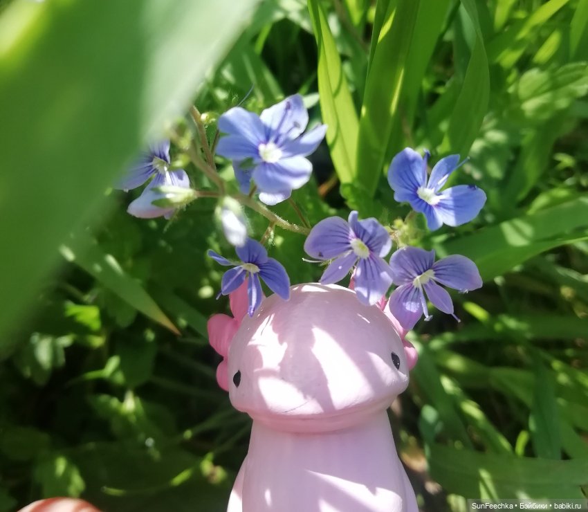 Кака в большом мире — Игровые куклы разных производителей (Разное): редкие бренды (фото 7)