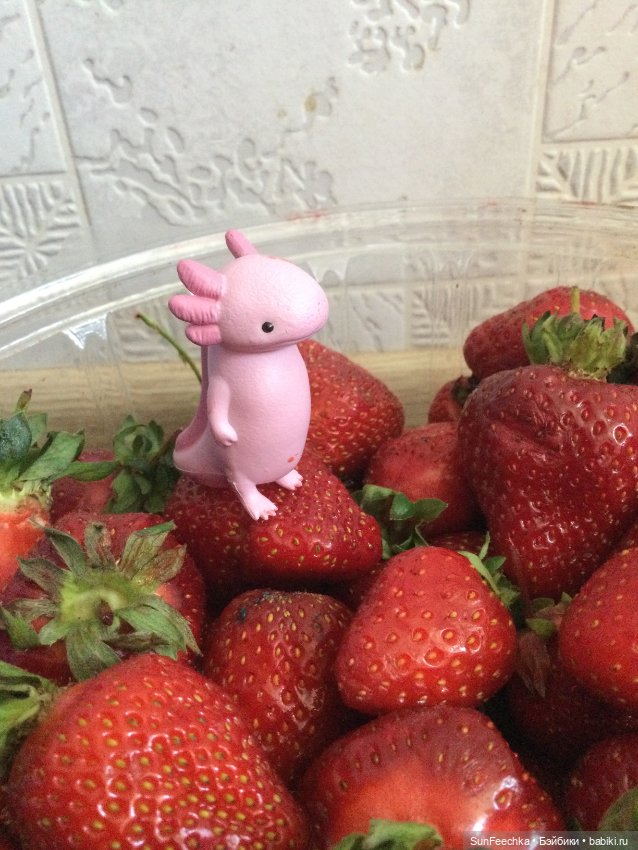 Кака в большом мире — Игровые куклы разных производителей (Разное): редкие бренды (фото 9)