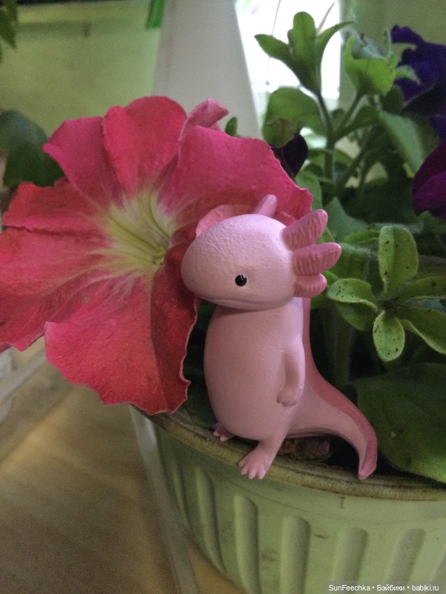 Кака в большом мире — Игровые куклы разных производителей (Разное): редкие бренды (фото 8)