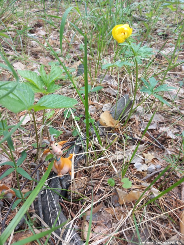 Лесное — Фигурки Pop Mart (Поп Март): Blind Box