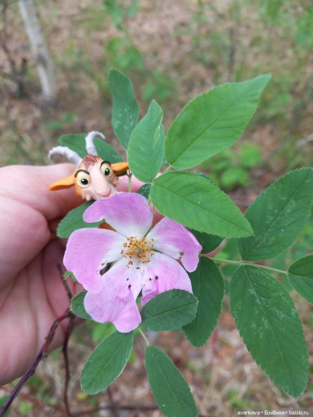 Лесное — Фигурки Pop Mart (Поп Март): Blind Box