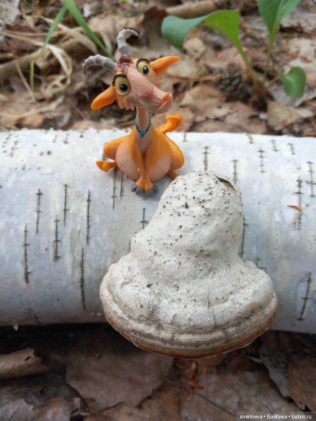 Лесное — Фигурки Pop Mart (Поп Март): Blind Box (фото 10)