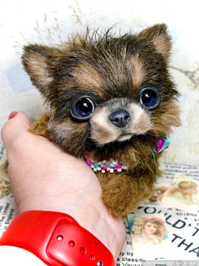 Bingo🐶 — Реалистичные игрушки и звери (Натюр): собаки (фото 6)