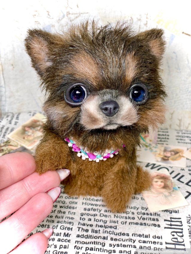 Bingo🐶 — Реалистичные игрушки и звери (Натюр): собаки