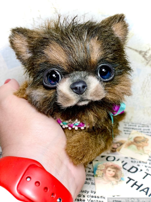 Bingo🐶 — Реалистичные игрушки и звери (Натюр): собаки (фото 5)