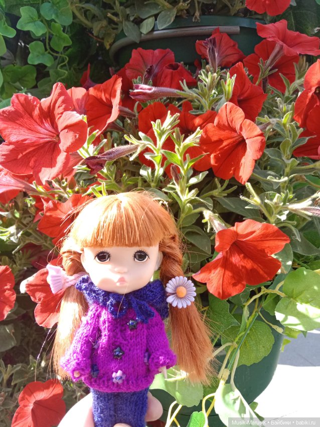 Прогулка с Соней — Азиатские виниловые куклы (разное): Китай