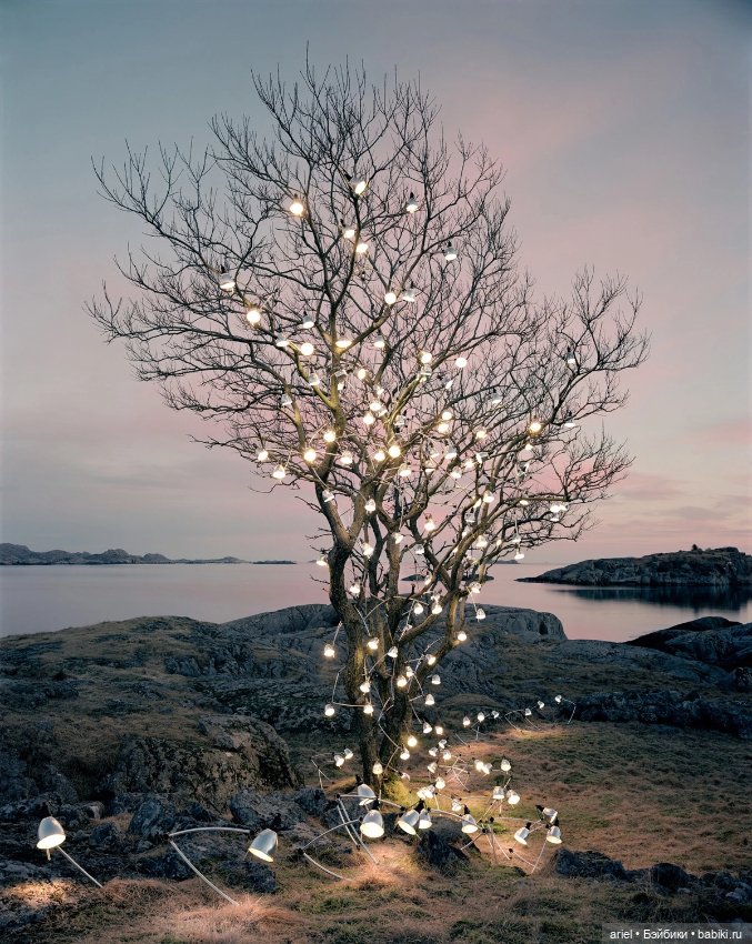 Инсталляции художника Руне Гунериуссена (Rune Guneriussen) (фото 5)