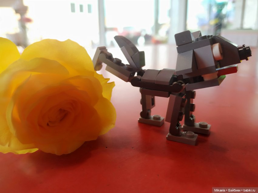 Самый ценный — Домашние коллекции кукол: фото собраний (фото 3)