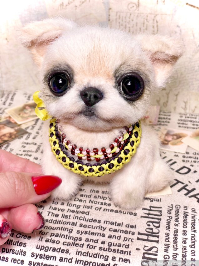 Сэнди 🐶 — Реалистичные игрушки и звери (Натюр): собаки (фото 4)