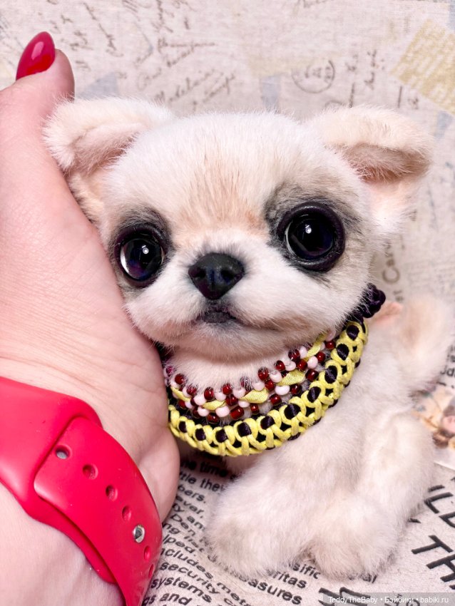 Сэнди 🐶 — Реалистичные игрушки и звери (Натюр): собаки