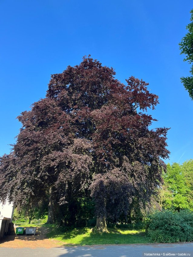 Fashion Dolls 515 — Туризм и путешествия: фотоотчеты из поездок