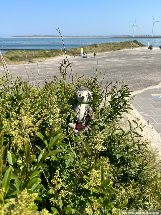 Fashion Dolls 515 — Туризм и путешествия: фотоотчеты из поездок (фото 7)