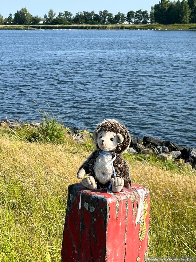 Fashion Dolls 515 — Туризм и путешествия: фотоотчеты из поездок