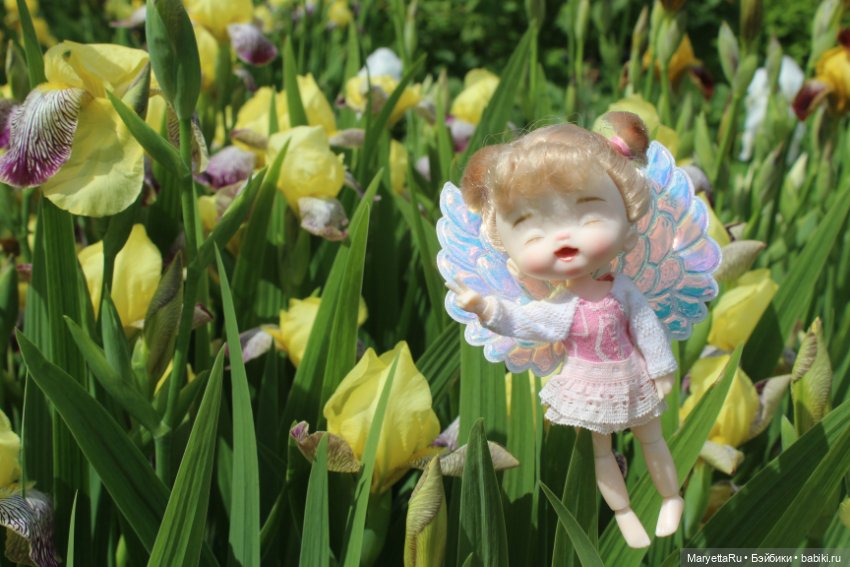 Фея тут и там — Куклы Baboliy (Баболи