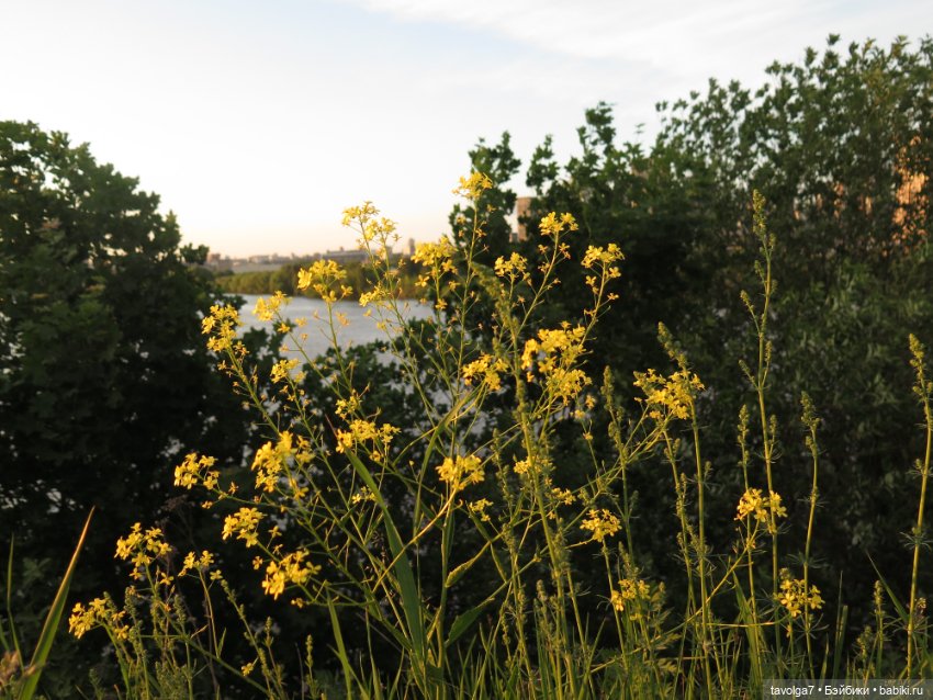 Куклы Paola Reina (Паола Рейна): новинки (фото 3)