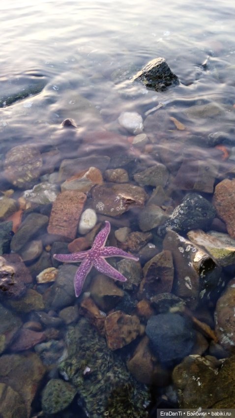 Владивосток 2023 — Туризм и путешествия: фотоотчеты из поездок