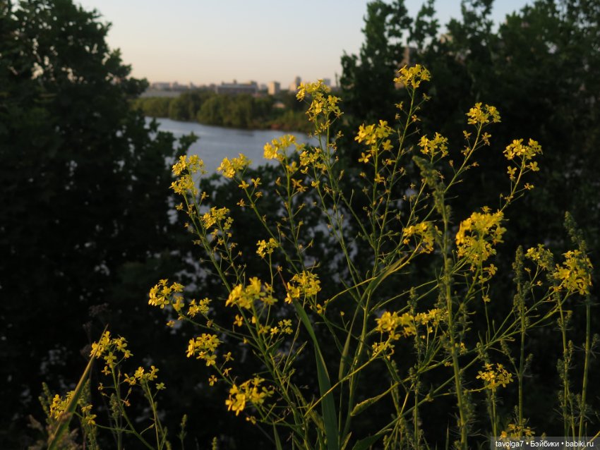 Куклы Paola Reina (Паола Рейна): новинки (фото 10)