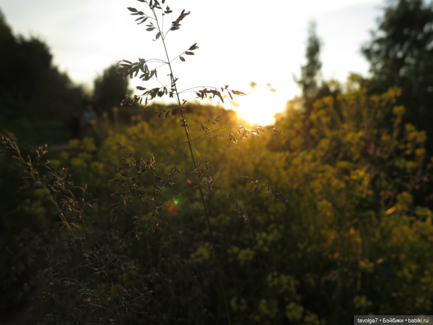 Куклы Paola Reina (Паола Рейна): новинки (фото 2)