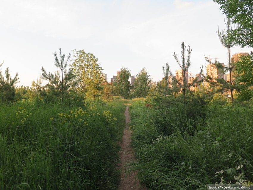 Куклы Paola Reina (Паола Рейна): новинки