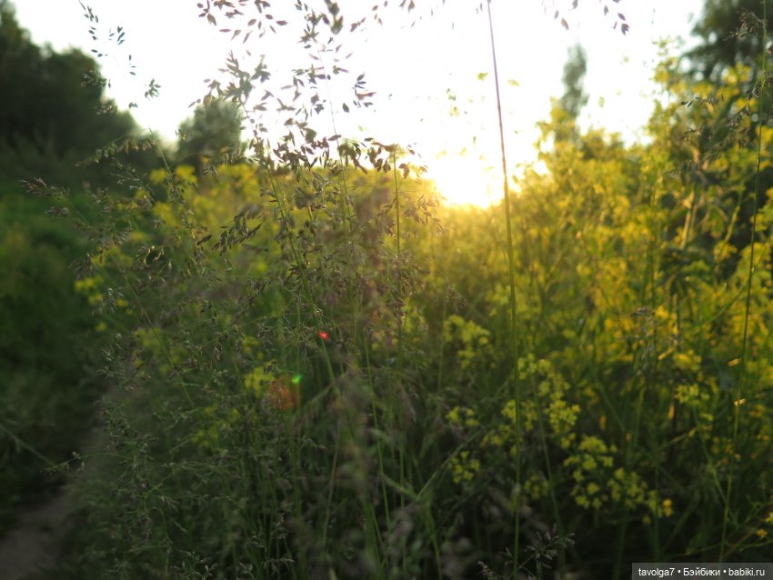 Куклы Paola Reina (Паола Рейна): новинки (фото 9)