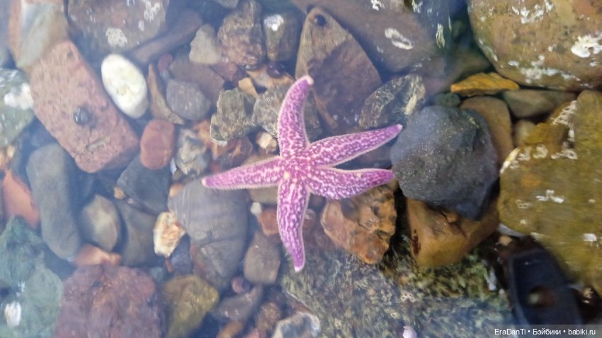 Владивосток 2023 — Туризм и путешествия: фотоотчеты из поездок