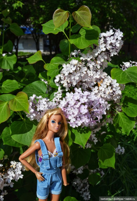 Ах, как прекрасна та Сирень!💮💮💮