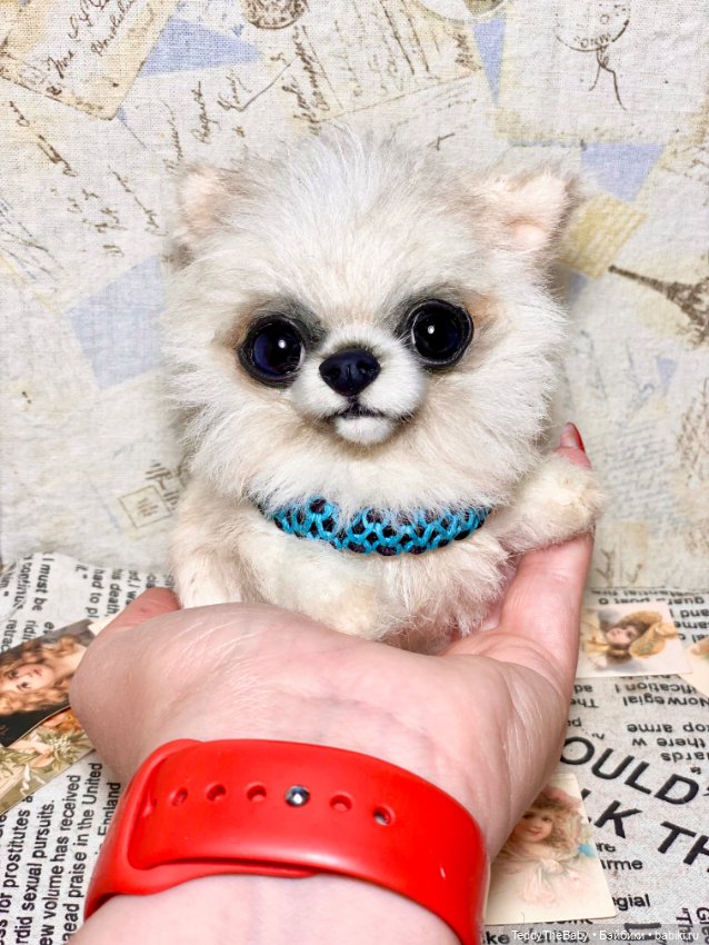 Бэй 🐶 — Реалистичные игрушки и звери (Натюр): собаки (фото 5)