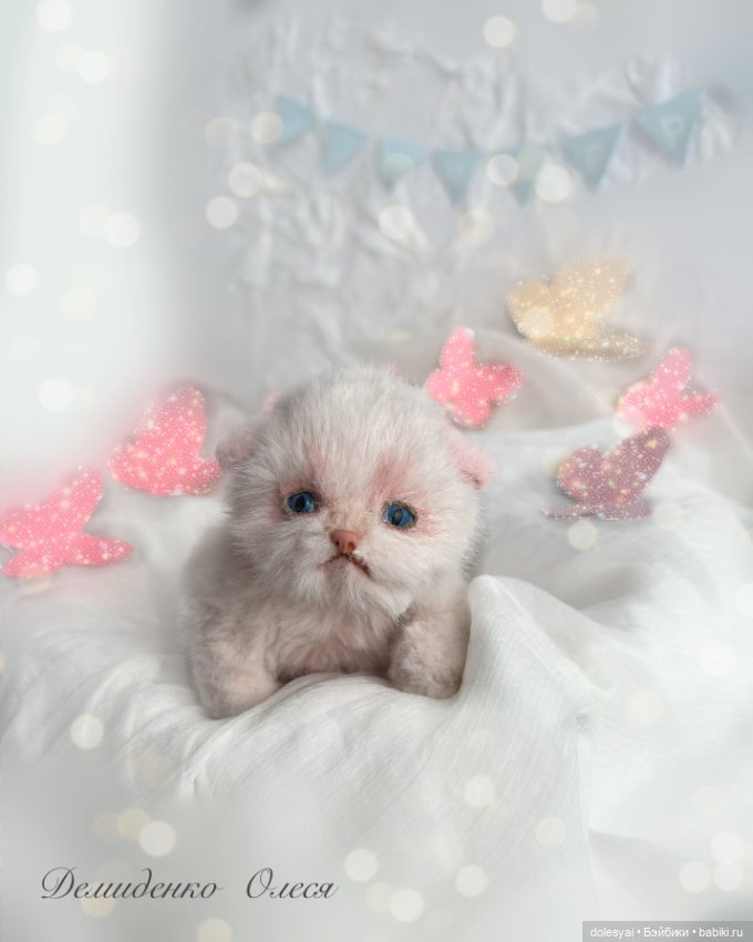 Котёнок Симба 🩷 — Авторские мишки Тедди и друзья: фото (фото 4)