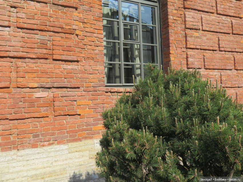 Катрин в Новой Голландии в Санкт-Петербурге (фото 9)