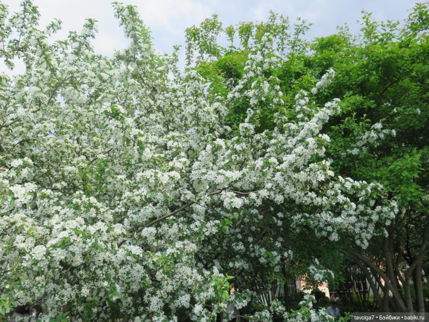 Катрин в Новой Голландии в Санкт-Петербурге