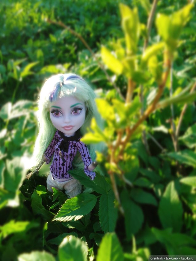 Майская прогулка — Куклы Monster High и Ever After High: G1