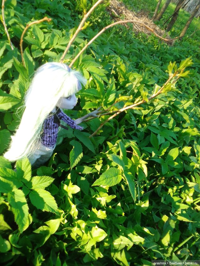 Майская прогулка — Куклы Monster High и Ever After High: G1 (фото 8)