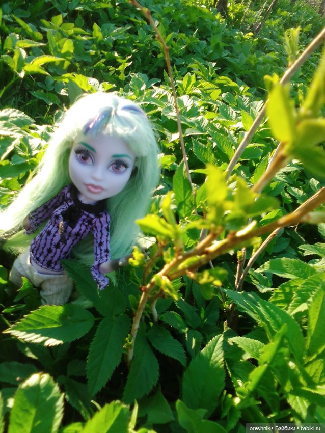 Майская прогулка — Куклы Monster High и Ever After High: G1