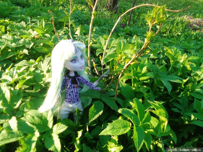 Майская прогулка — Куклы Monster High и Ever After High: G1 (фото 10)